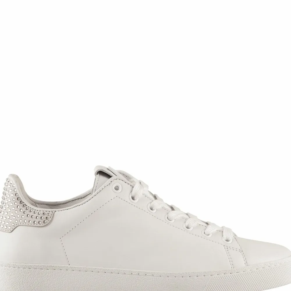 Store Glammy Women Sneakers