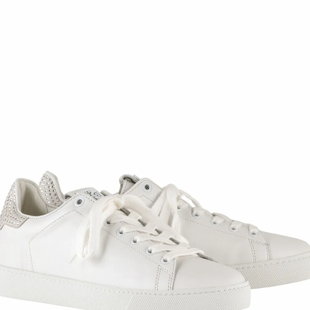Store Glammy Women Sneakers