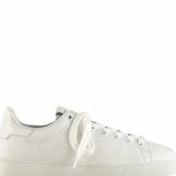 Store Glinty Women Sneakers