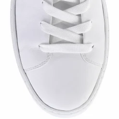Hot Lewis Women Sneakers